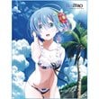 Re:Zero Rem Swimsuit Sublimation Throw Blanket